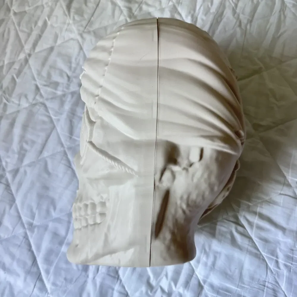 ZURU Pirate Skull Dinosaur Head Toy Figure Collectible Halloween‎ Decoration 12